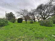 Terrain à SAINT-AGNANT