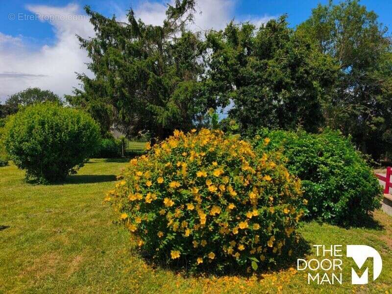 Maison 53140 - photo 3