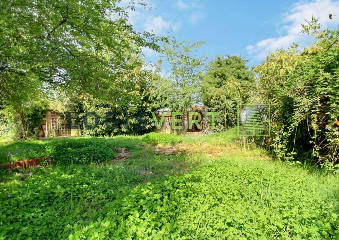 Terrain à MASSY