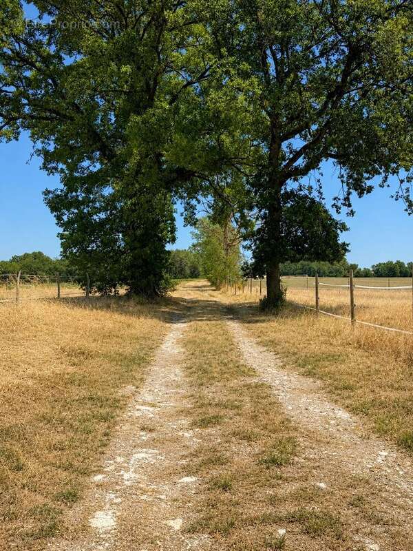 Propriété de caractère en pierres – Domaine équestre sur près de 6 hectares - photo 26