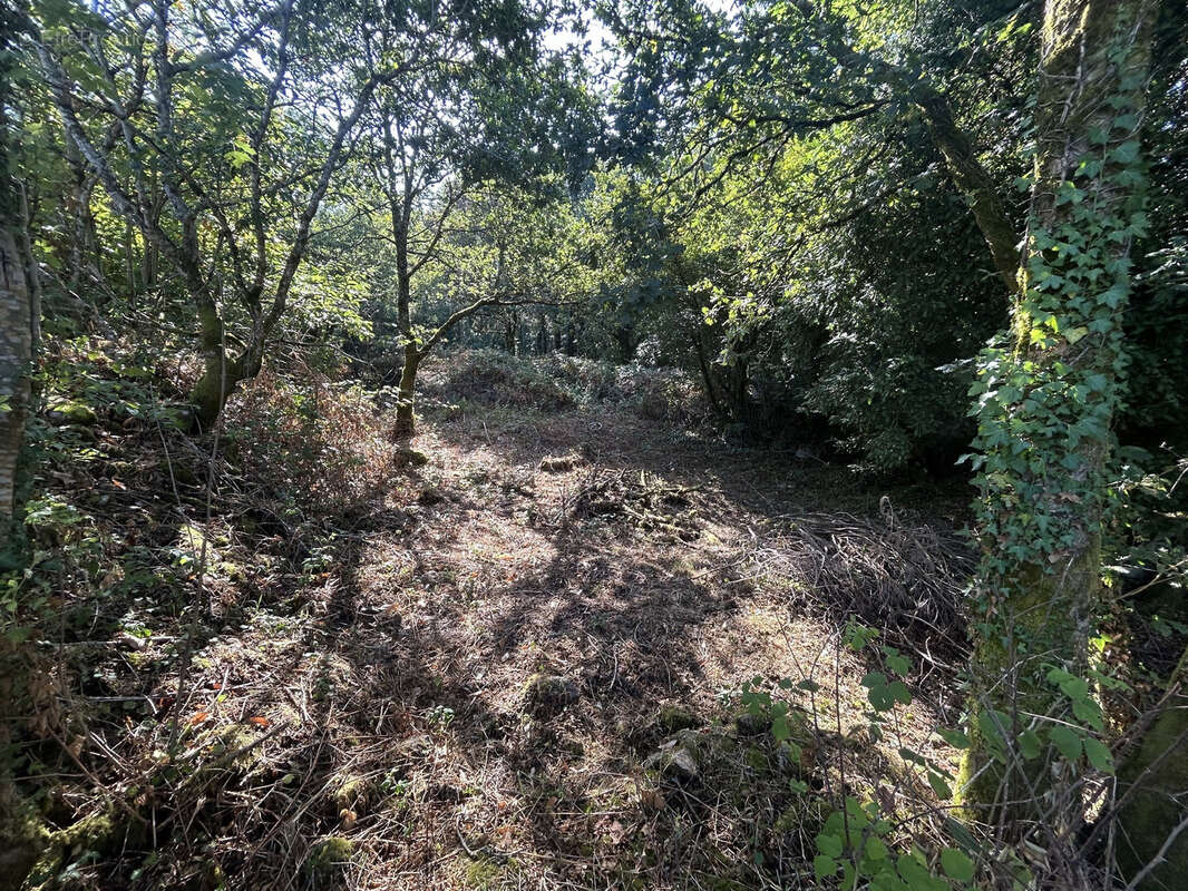 Terrain à vendre - Quistinic - photo 2