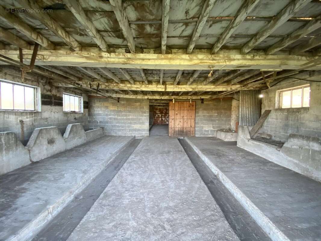 Aurignac, Ferme T6 – Vue imprenable sur les Pyrénées – 3 800 m² de terrain - photo 11