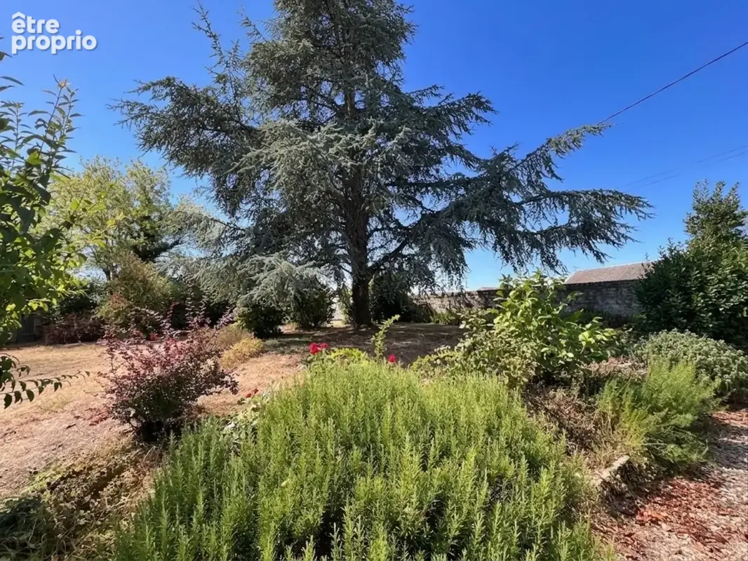Longère de caractère – 230 m² – charme, volumes & authenticité – 20 minutes au nord de châtellerault - photo 22