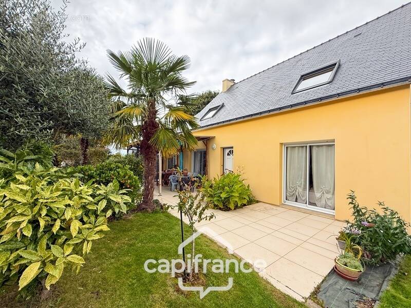 Maison à NOYAL-PONTIVY