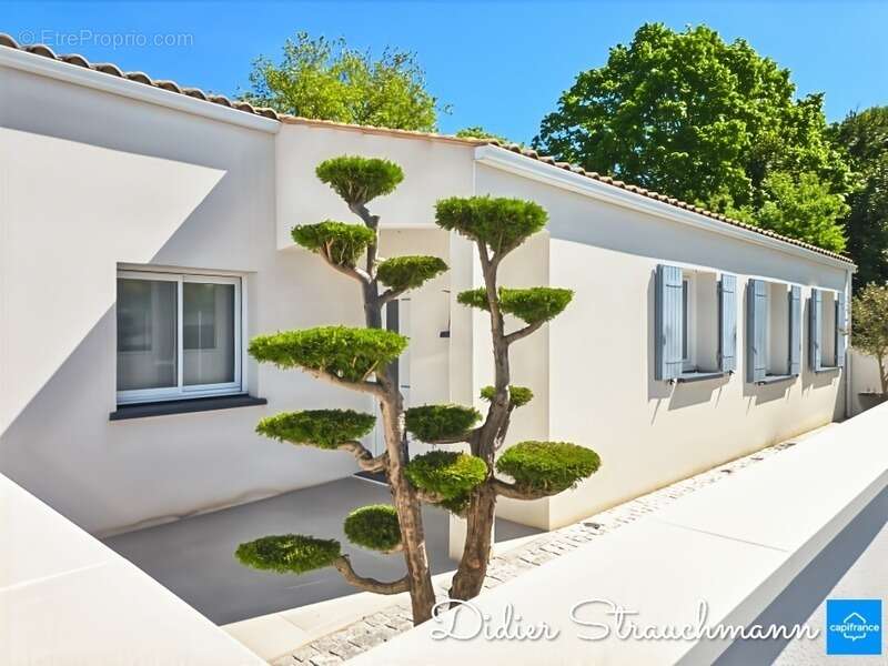 Maison à AIGREFEUILLE-D'AUNIS