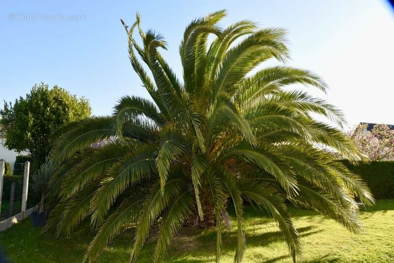 Maison à BERNIERES-SUR-MER