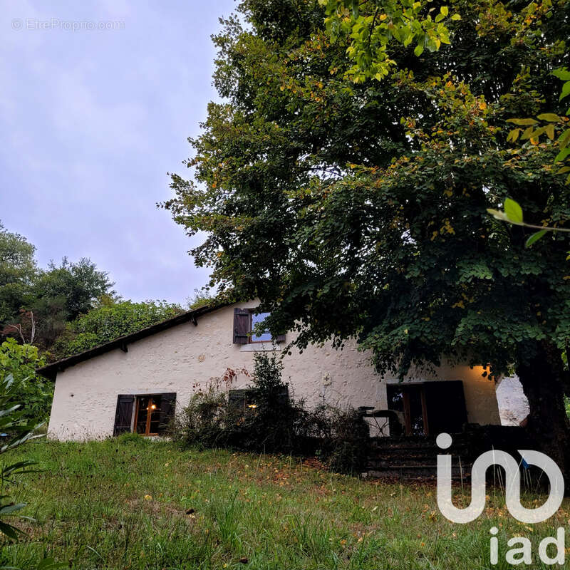 Photo 5 - Maison à PINEUILH