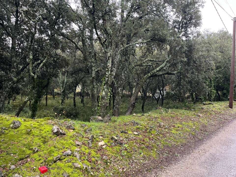 Terrain à SAINT-RESTITUT