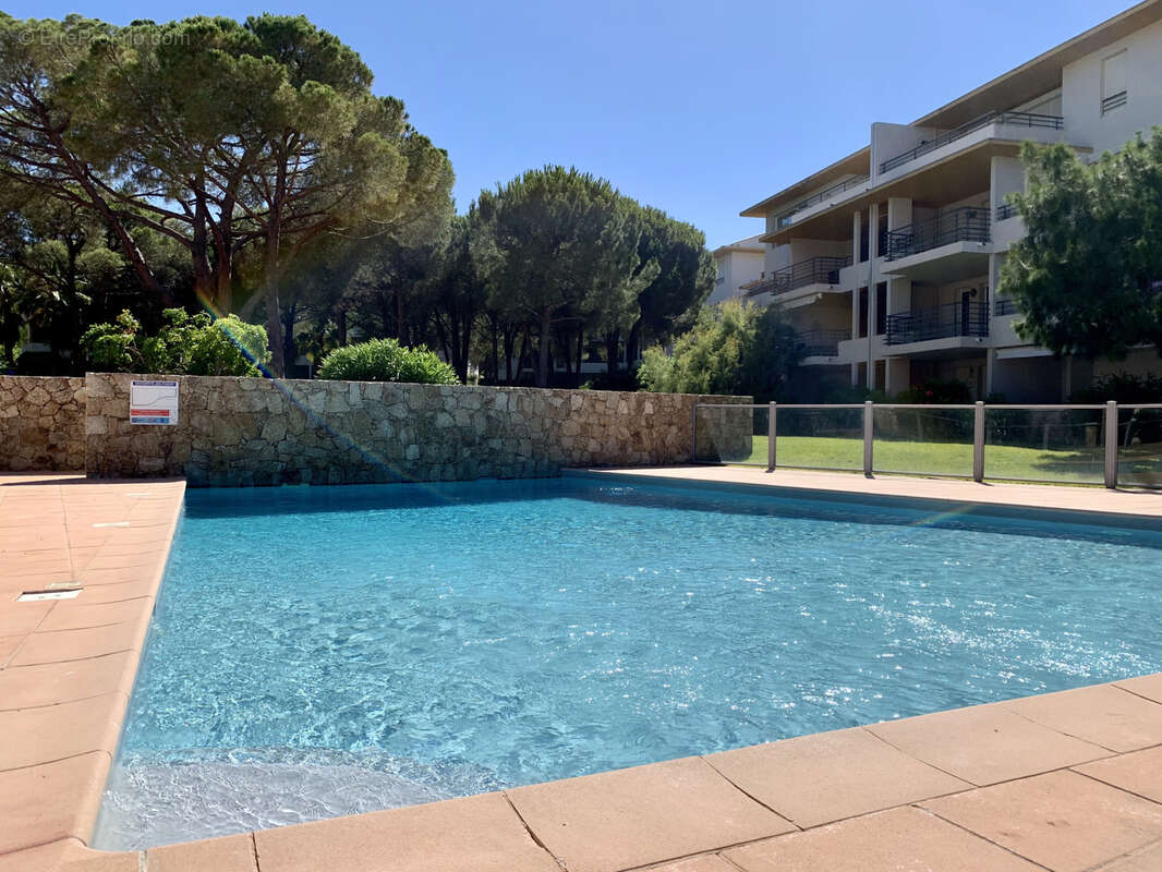 Appartement à CALVI