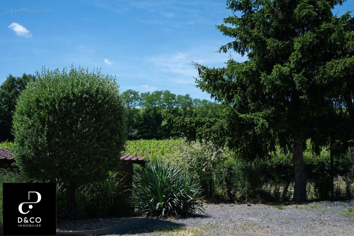Propriété de caractère avec vue sur les vignes du Mâconnais - photo 17