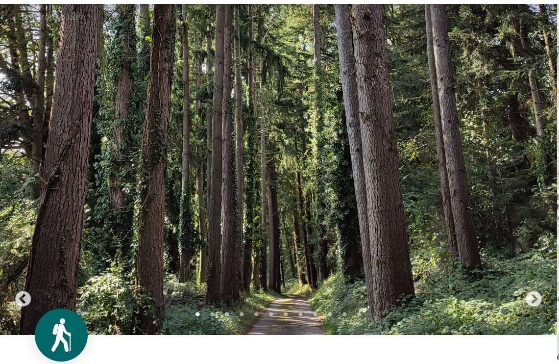 NOMBREUX CHEMINS DE RANDONNEES - TRAIL - Terrain à CHATEAUNEUF-LA-FORET