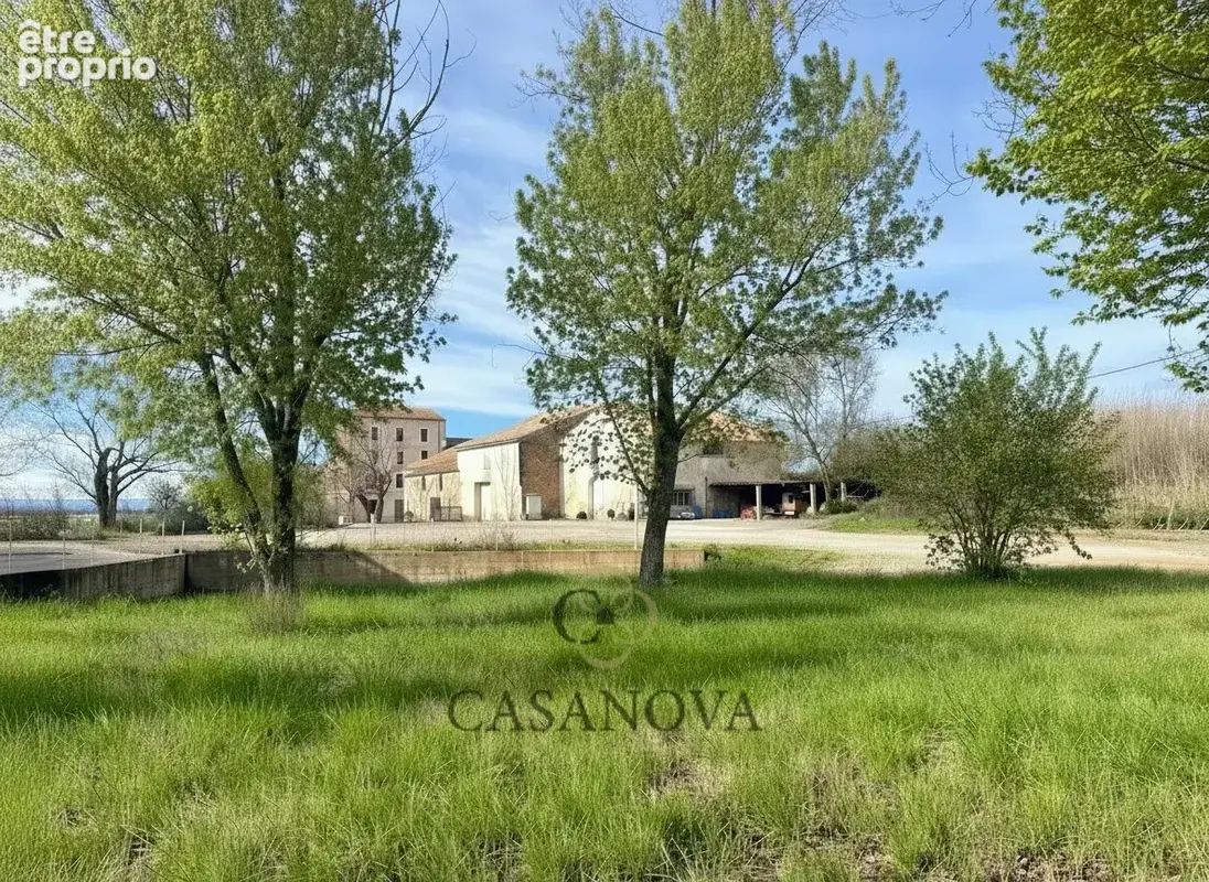 Propriété de charme 600 m² Canal du Midi avec piscine et dépendances  environnement naturel proche mer - photo 2