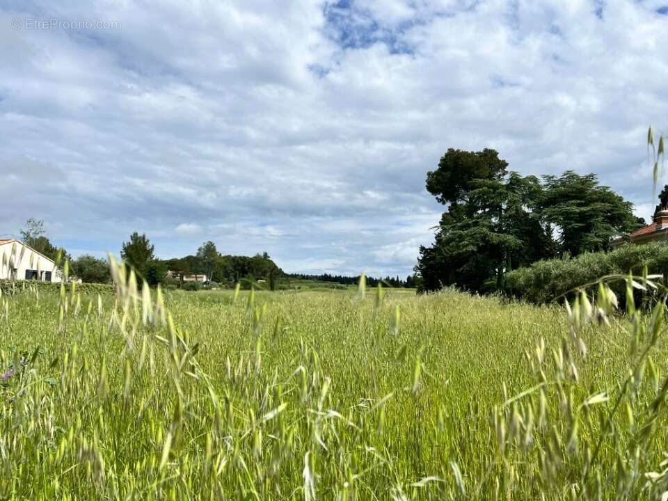 Terrain à DOMAZAN