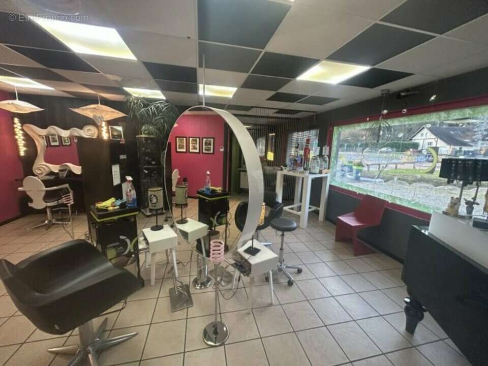 Commerce à SAINT-ALBAN-DE-MONTBEL