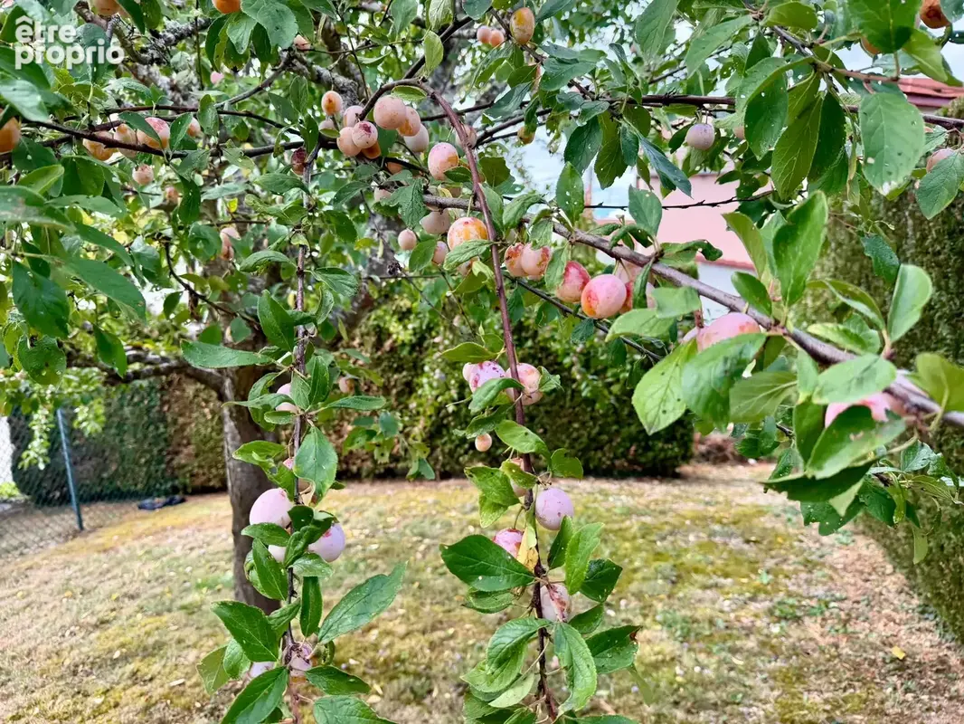 Vente Maison de caractère, 7 pièces avec terrain arboré clos — proche Suisse — secteur Beaucourt - photo 34