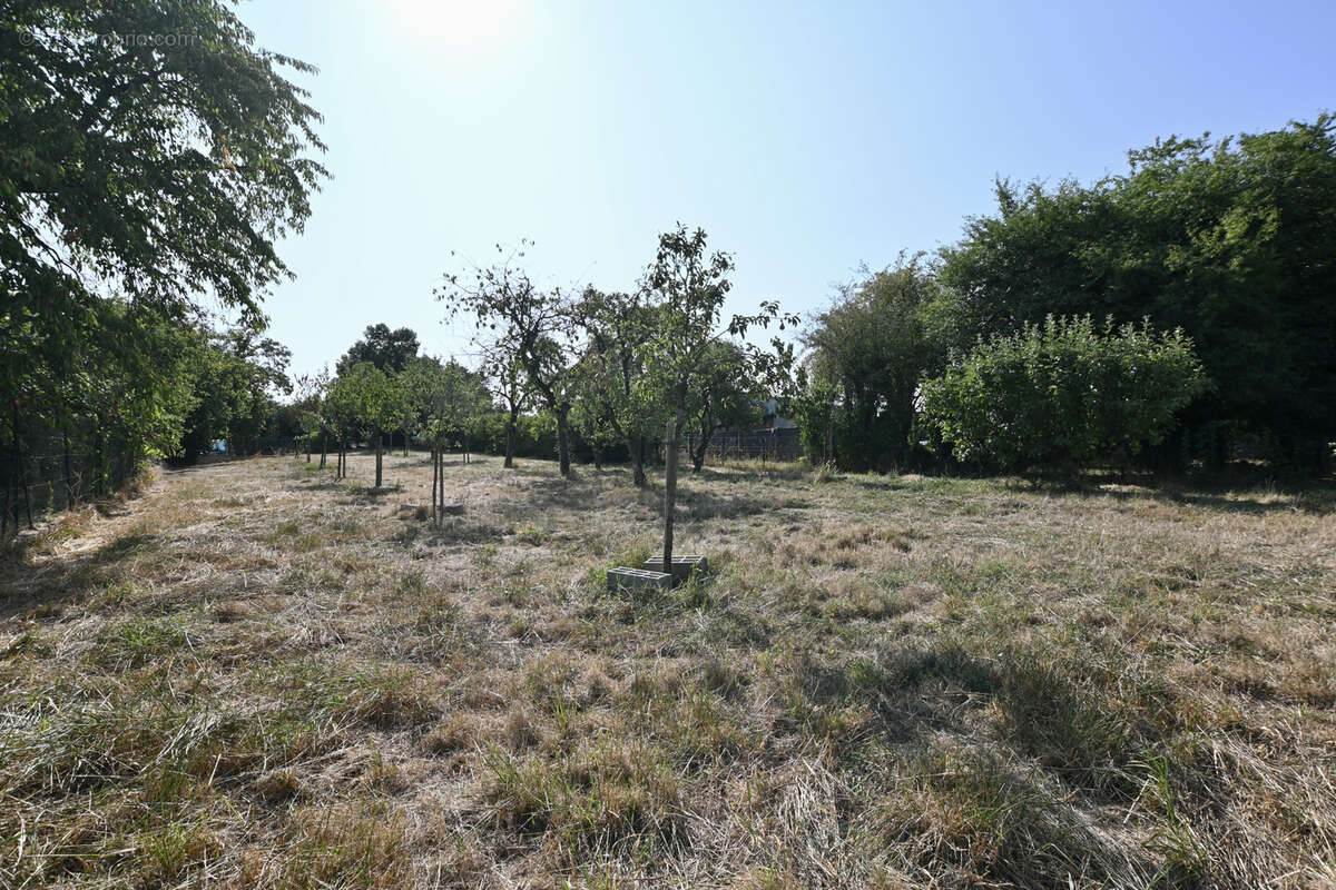 Guillon deux maisons sur 1 700 m2 de terrain - photo 4