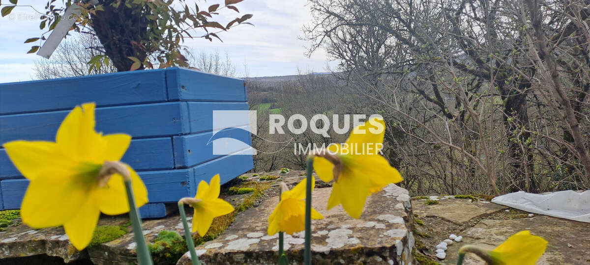 Maison en pierre de 104,65 m2 sur terrain attenant de 9420m2 - photo 10