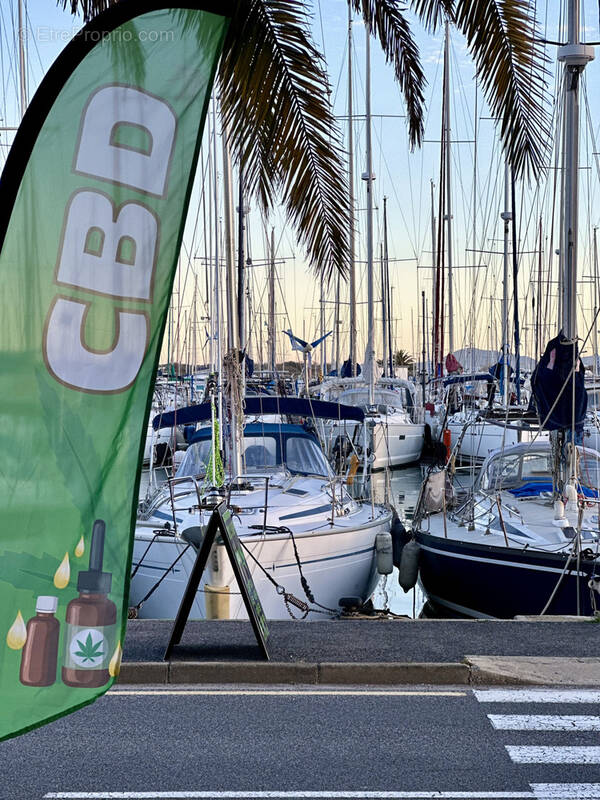 Commerce à SAINT-CYPRIEN