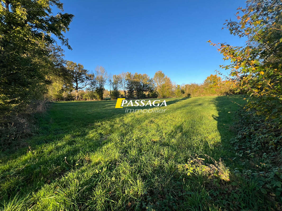 A VENDRE - Terrain à bâtir 3 200 m² -  BERTHOLENE - photo 6