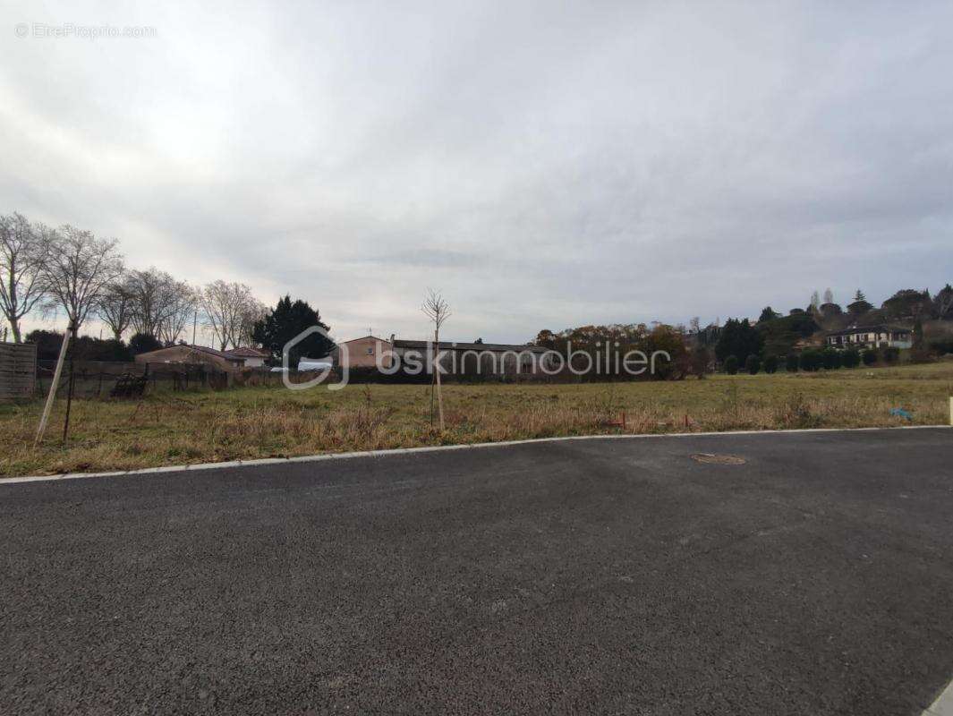 Terrain à RABASTENS