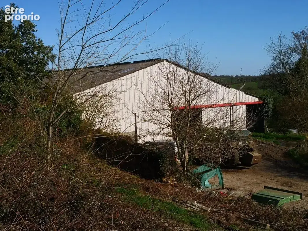cadre bucolique pour cet authentique corps de ferme en pierre sur 10 hectares  Idéal équestre & agricole - photo 7