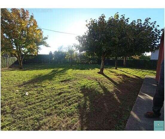 Photo 9 - Maison à MONT-DE-MARSAN