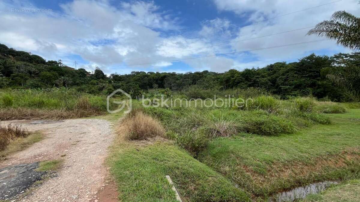 Terrain à REMIRE-MONTJOLY