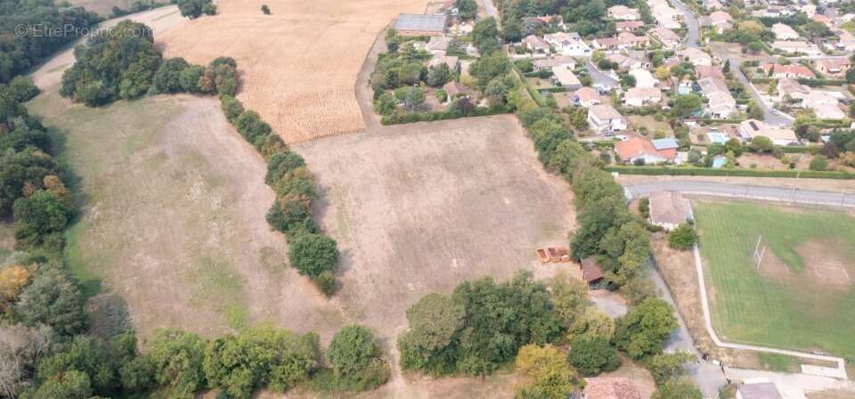 Terrain 927 m² à Montastruc-La-Conseillere  - photo 2
