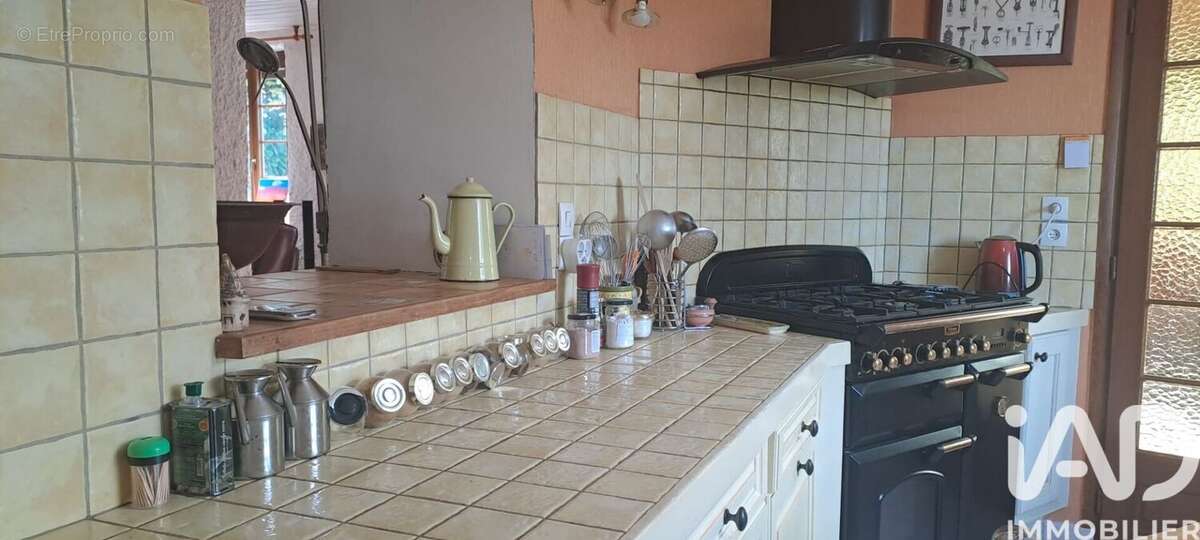 Maison 280 m² à Saint-Hilaire-Les-Andresis  - photo 4