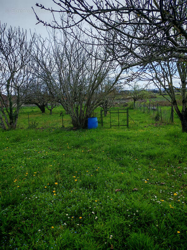 Maison à LISLE-SUR-TARN