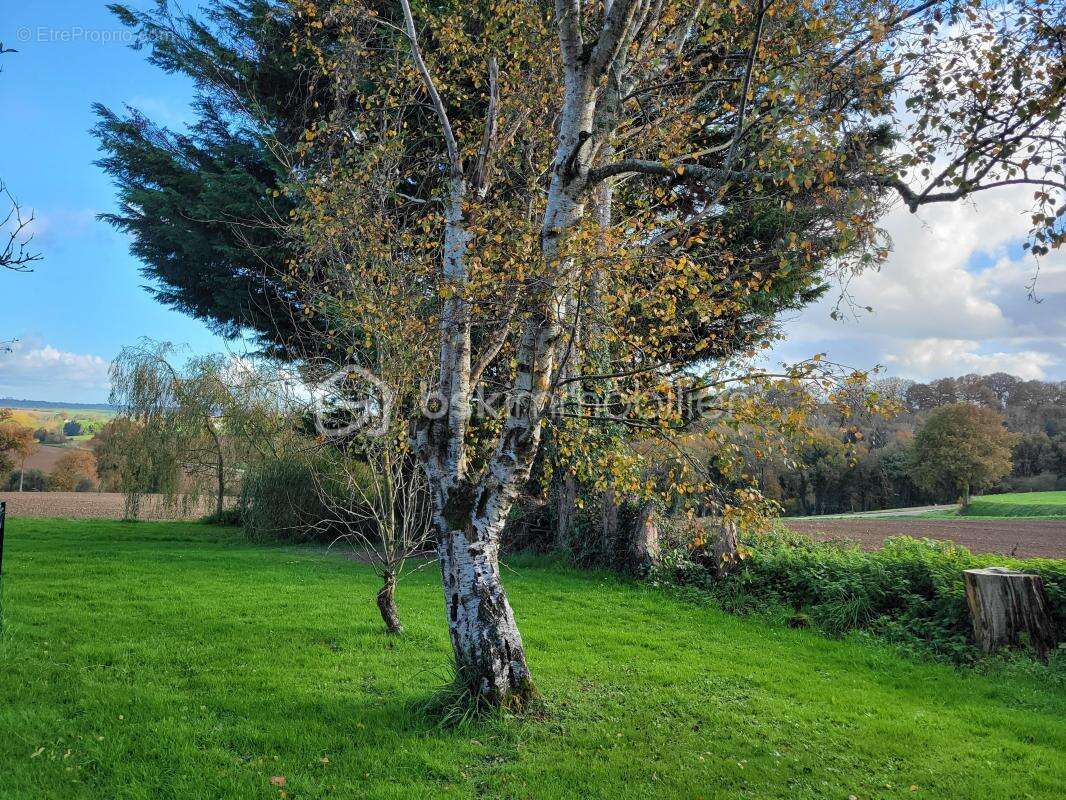 Maison à HEMONSTOIR