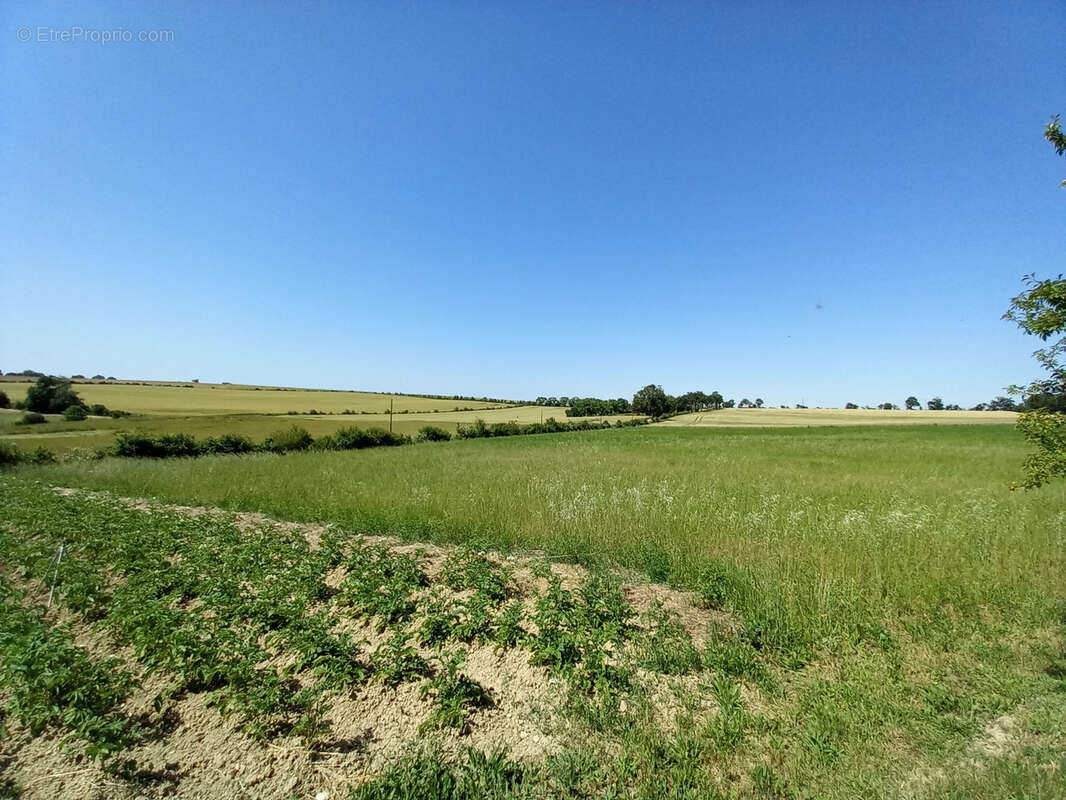 Propriete corps de ferme avec 39 000 m2 de terrain - photo 18