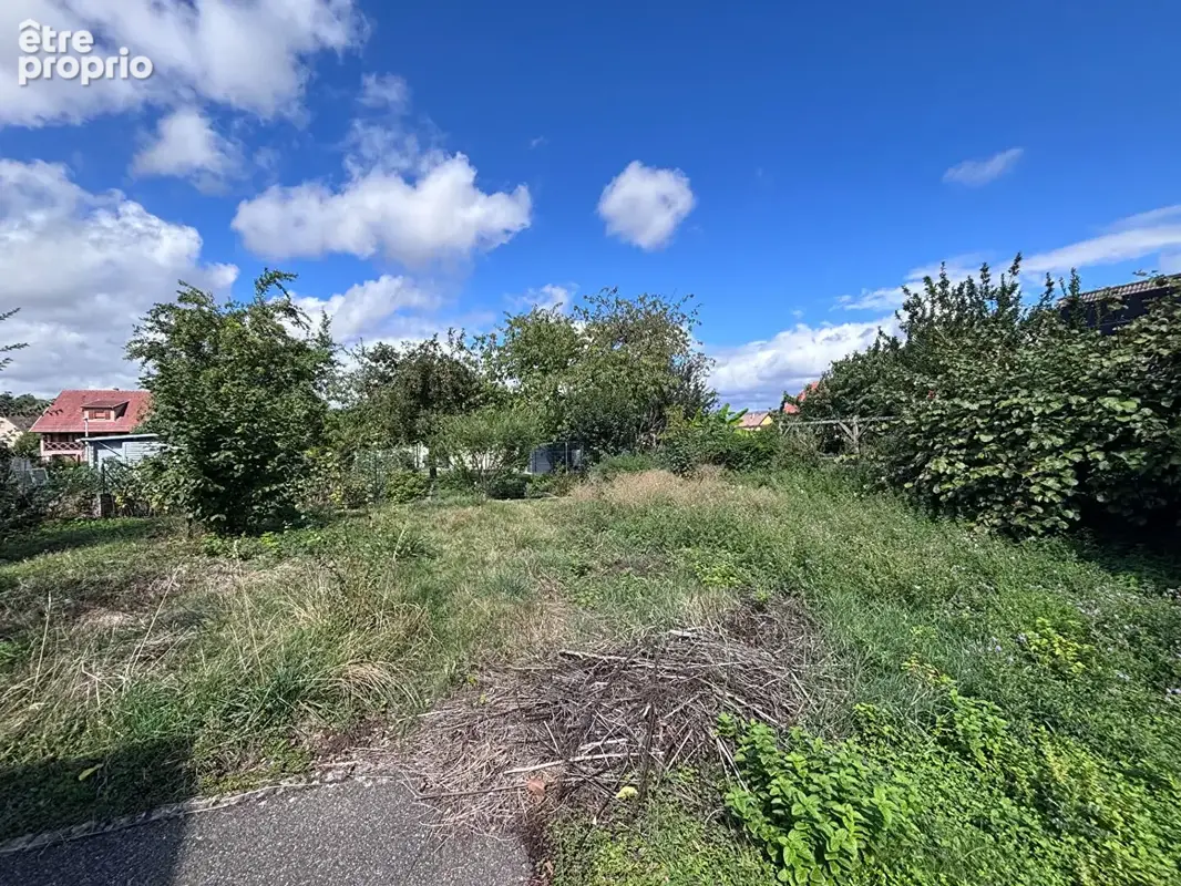 Maison individuelle 5 pièces à vendre à Aspach Le Bas - 135 m² - photo 2