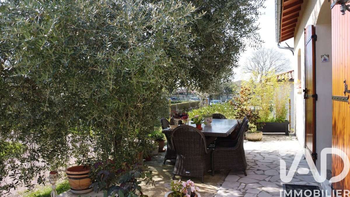 Photo 4 - Maison à COUTRAS