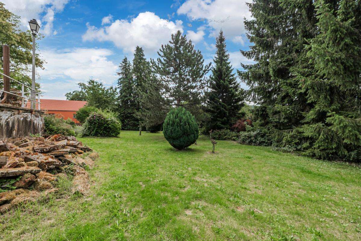 Maison à WANGENBOURG-ENGENTHAL