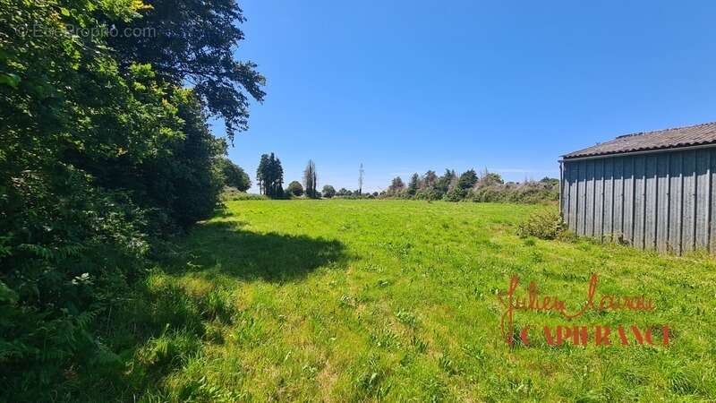 Dpt Finistère (29), à vendre SCAER Hangar d'environ 200 m² sur 5790 m² de Terrain - photo 2