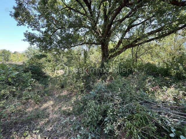 Niort - Les brizeaux - photo 2