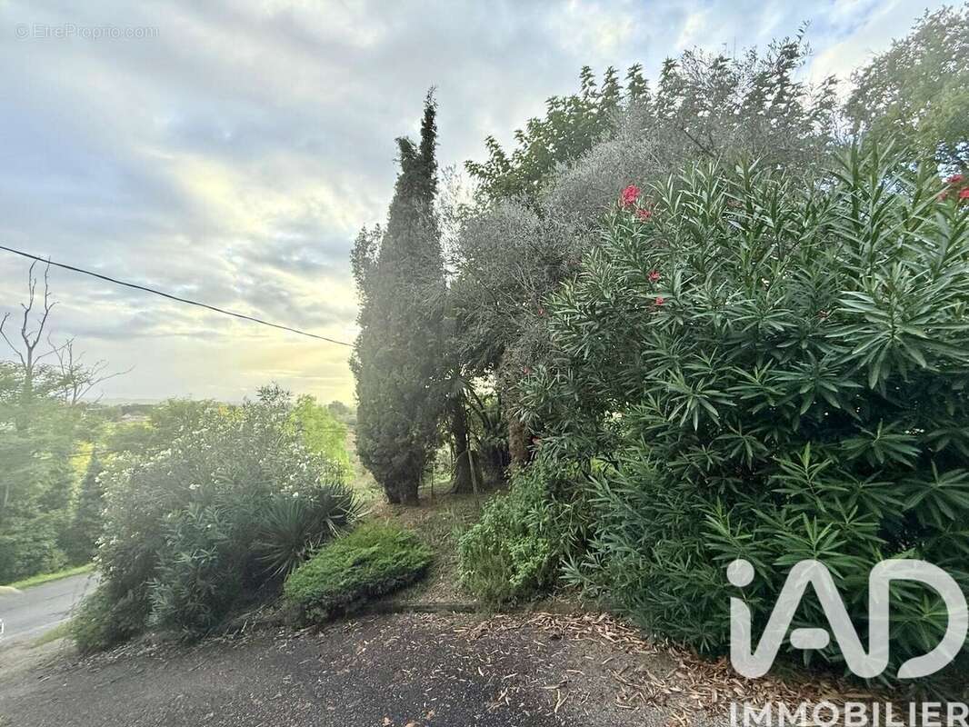 Photo 2 - Maison à SAINT-ANTOINE-DE-BREUILH