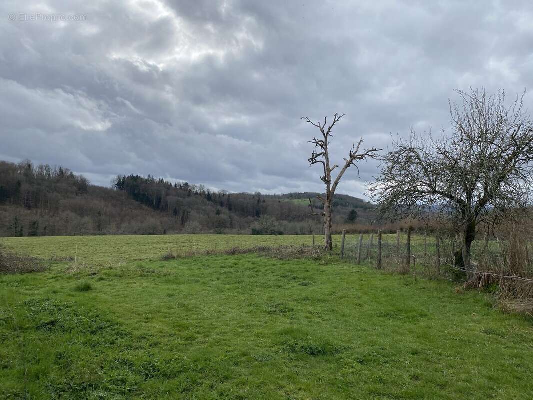 Maison 85 m² à Neuvic-Entier  - photo 6