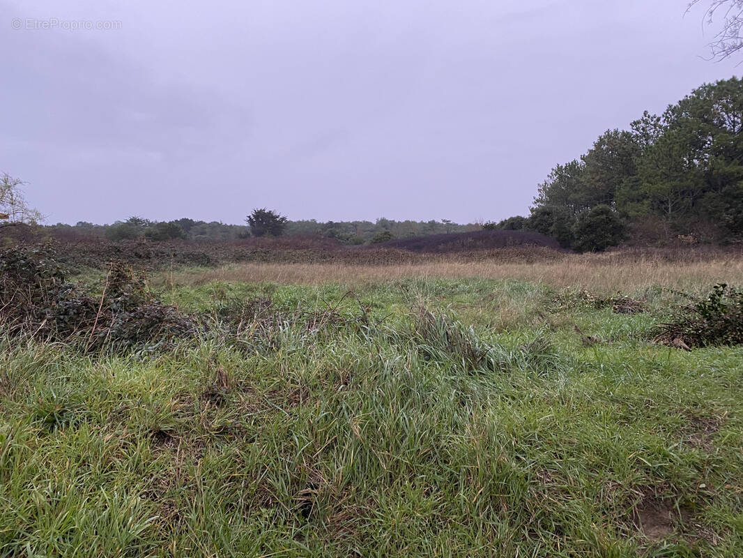 Terrain à LES SABLES-D&#039;OLONNE