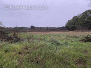 Terrain à LES SABLES-D'OLONNE