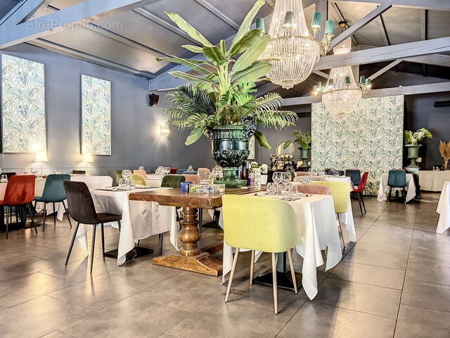 Commerce à SAINT-LAURENT-DES-ARBRES