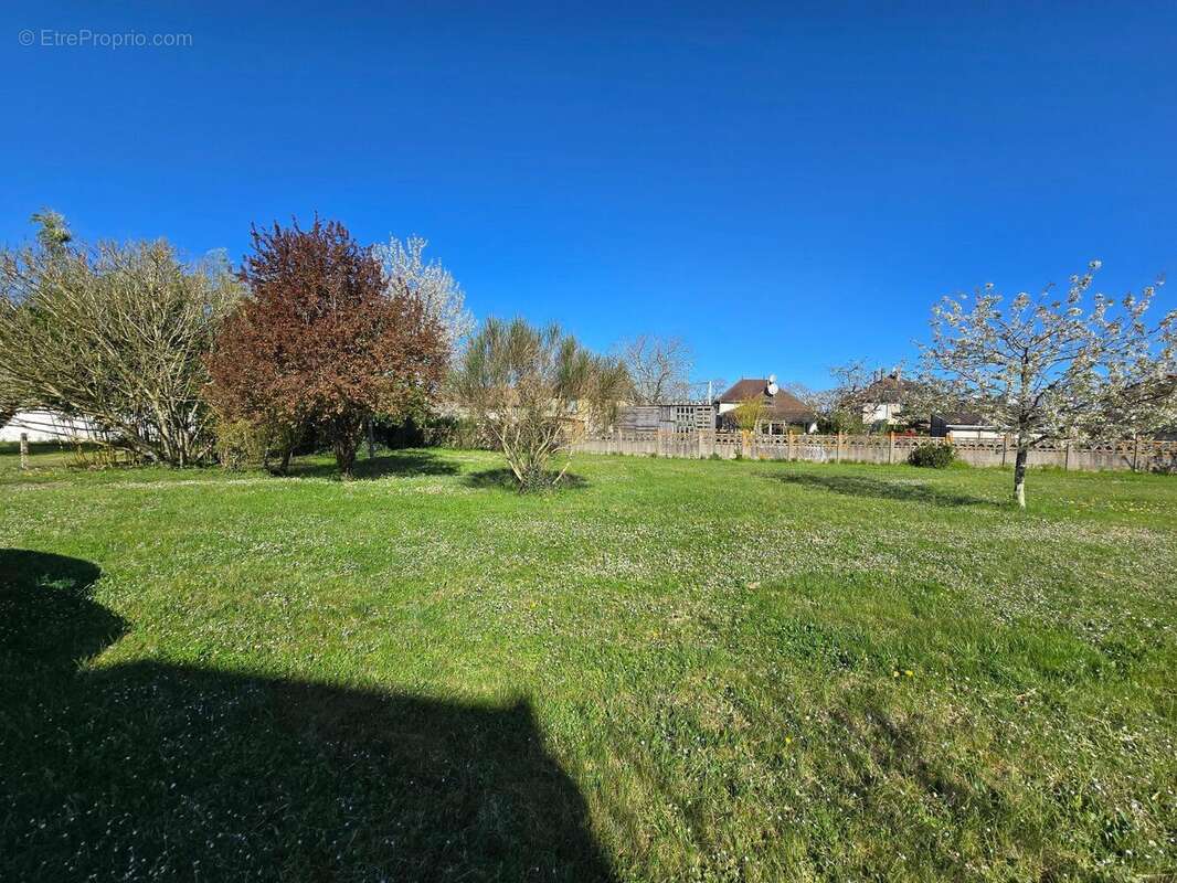 Photo 3 - Terrain à MONTMORILLON