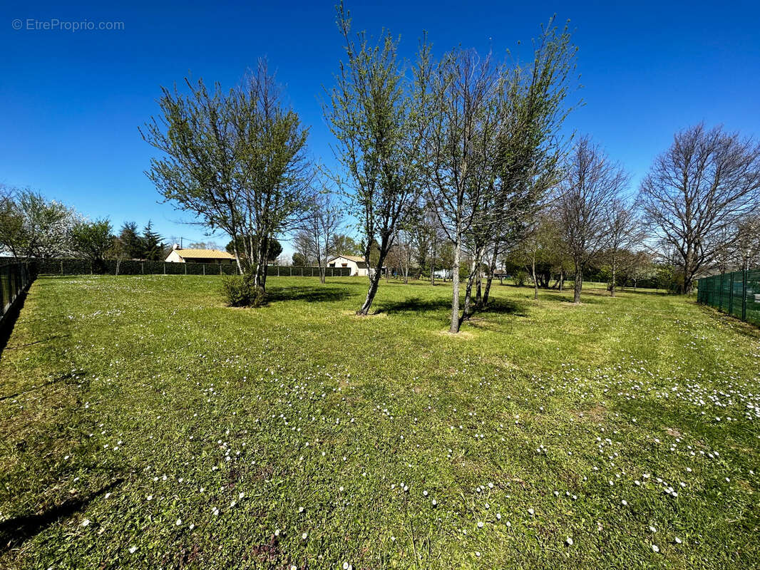 Terrain à SAINT-AULAYE