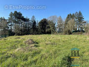 Terrain à VILLANDRAUT