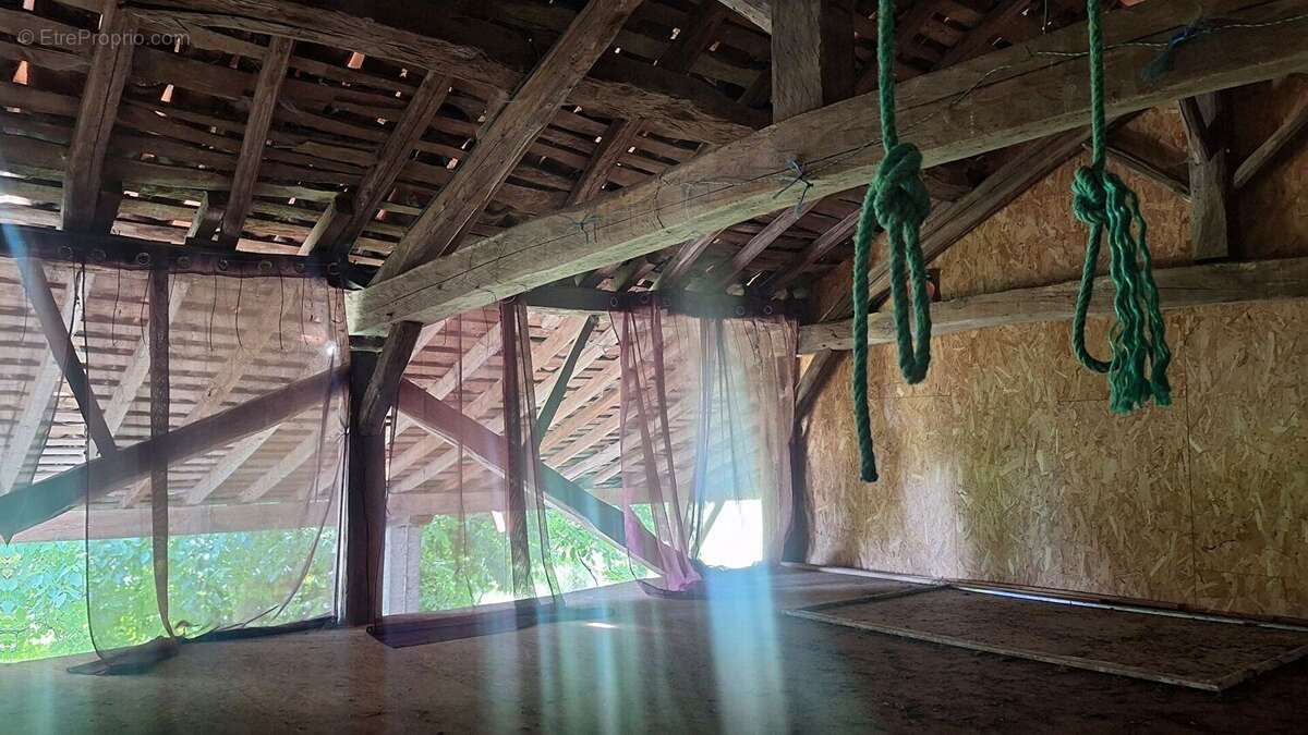 Ancien corps de ferme  T4 /5 sur 5500m² de terrain - photo 10