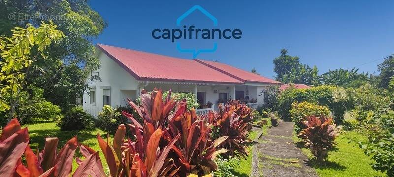 Maison à SAINTE-ROSE