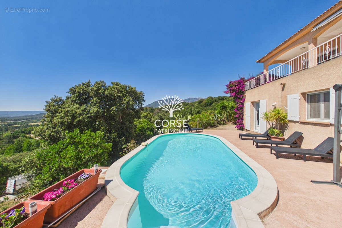 Maison à PORTO-VECCHIO