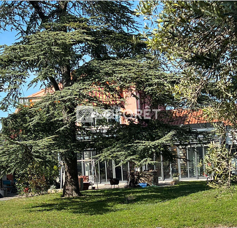 Maison LOFT INDUSTRIEL de 328 m² sur une parcelle de 2100 m² - Vente en Viager - photo 8