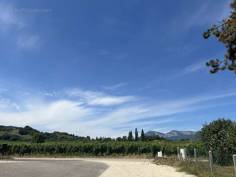 Terrain à LES MARCHES